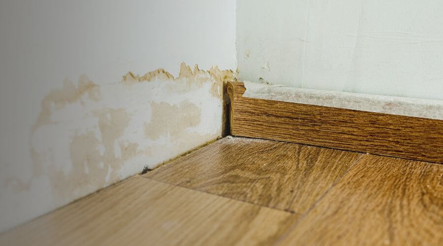 Why choose Water Damage Restoration Stetson Valley for water damage restoration in Stetson Valley
